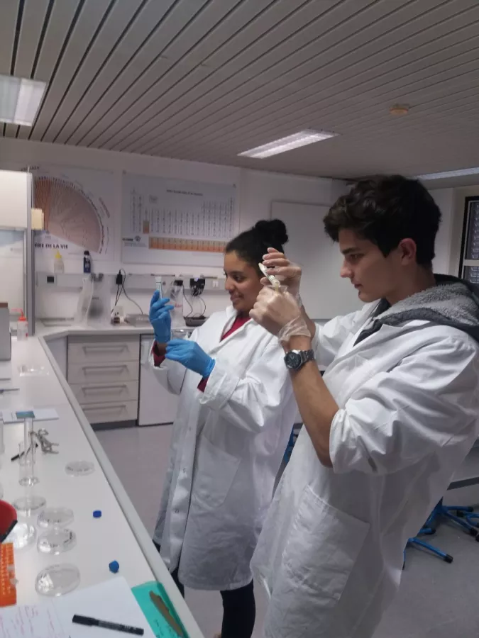 Laboratoire Biologie Ecole Moser Nyon